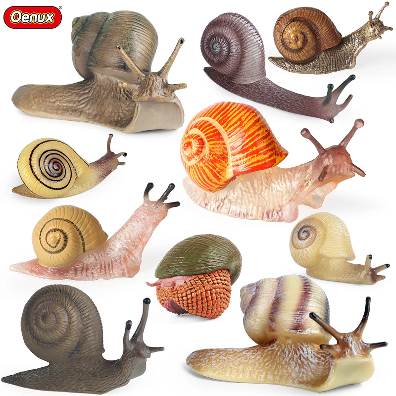 Oenux Wild Insect Animals Snails Growth Cycle Model Garden Decoration Figurines PVC Miniature Cute Education Kids Toys Oenux Wild Insect Animals Snails Growth Cycle Model Garden Decoration Figurines PVC Miniature Cute Education Kids Toys - Image 1