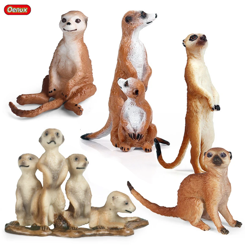 Oenux simulation New Wild Animals Figurines Tanding Bog Meerkat Otter Nutria Model Action figures Kids Education Gift Toy Oenux simulation New Wild Animals Figurines Tanding Bog Meerkat Otter Nutria Model Action figures Kids Education Gift Toy - Image 1