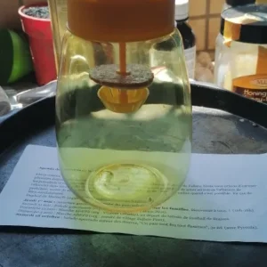 Plastic Fruit Fly Trap Killer Drosophila Trap Anti Fly Fruit Fly Killer Catcher Orchard Insect Trap Pest Control Fly Bee Trap