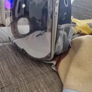 Cat Pet Carrier Backpack Transparent Capsule Bubble Pet Backpack Small Animal Puppy Kitty Bird Breathable Pet Carrier for Travel