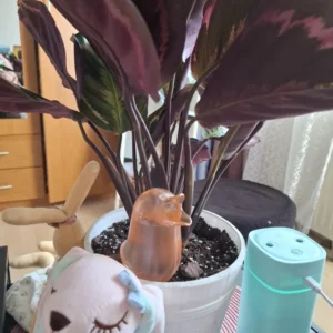 Automatic Flower Waterer, Self-Watering Water Balloon, Bird Shaped Hand Blown Plastic Plant Waterer for Home Garden