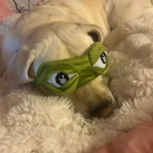 3D Sad Frog Sleep Mask Natural Sleeping Eyeshade Cover Shade Eye Patch Women Men Soft Portable Blindfold Travel Eyepatch