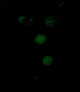 525PCS Box Packed Luminous Nine Planets Wall Sticker for Kids Bedroom Living Room Glow In The Dark DIY Party Home Decor