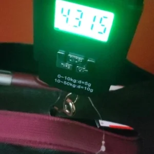 1pc Black 50kg Portable Electronic Portable Luggage Scale LCD Digital Display Screen Express Delivery Scale Hook Mini Scale