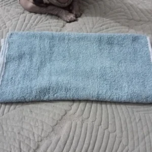 Thickened Cotton Towel With Strong Water Absorption Universal Towel For Adults And Children Solid ColorSkin Friendly Towel