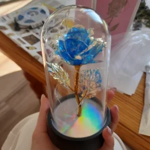 Valentines Day Gift for Girlfriend Eternal Rose LED Light Foil Flower In Glass Cover Mothers Day Wedding Favors Bridesmaid Gift