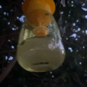 Plastic Fruit Fly Trap Killer Drosophila Trap Anti Fly Fruit Fly Killer Catcher Orchard Insect Trap Pest Control Fly Bee Trap