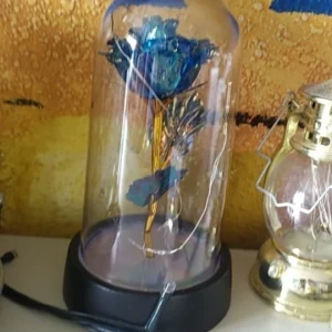 Valentines Day Gift for Girlfriend Eternal Rose LED Light Foil Flower In Glass Cover Mothers Day Wedding Favors Bridesmaid Gift