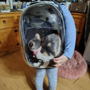 Cat Pet Carrier Backpack Transparent Capsule Bubble Pet Backpack Small Animal Puppy Kitty Bird Breathable Pet Carrier for Travel