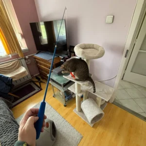 11pcs Replacement Cat Feather Toy Set Feather Replacement Head Retractable Cat Stick Cat Products