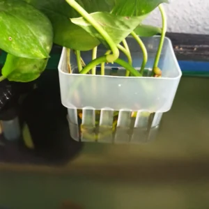 1PC Hydroponic Planting Cup Household Water Grass Planting Cup Wall Mounted High Transparent Fish Tank Landscape Decoration