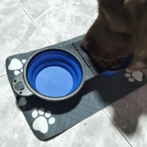 1-piece 2-in-1 foldable dual bowl feeding bowl portable outdoor travel dog and cat drinking bowl