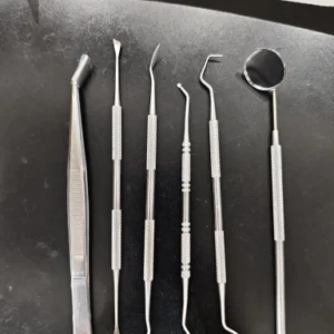 Stainless Steel Dentist Oral Tools Cleaning Flossing Tartar Removal Easy to Clean Not Easy to Break Dental Oral Mirror Care Kit