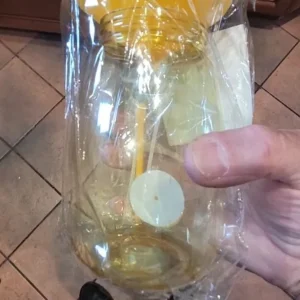 Plastic Fruit Fly Trap Killer Drosophila Trap Anti Fly Fruit Fly Killer Catcher Orchard Insect Trap Pest Control Fly Bee Trap